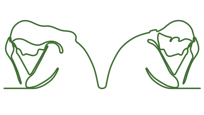 Couple in a fight in need of couples counseling