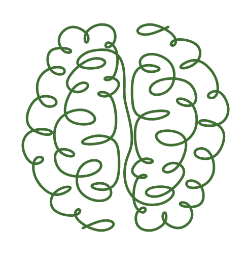 Brain for EMDR in Round Rock