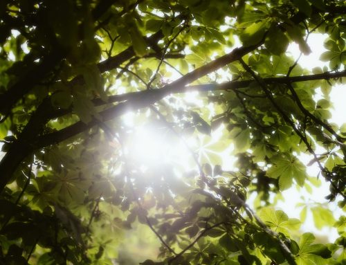 Is It Okay to Cry in Therapy?