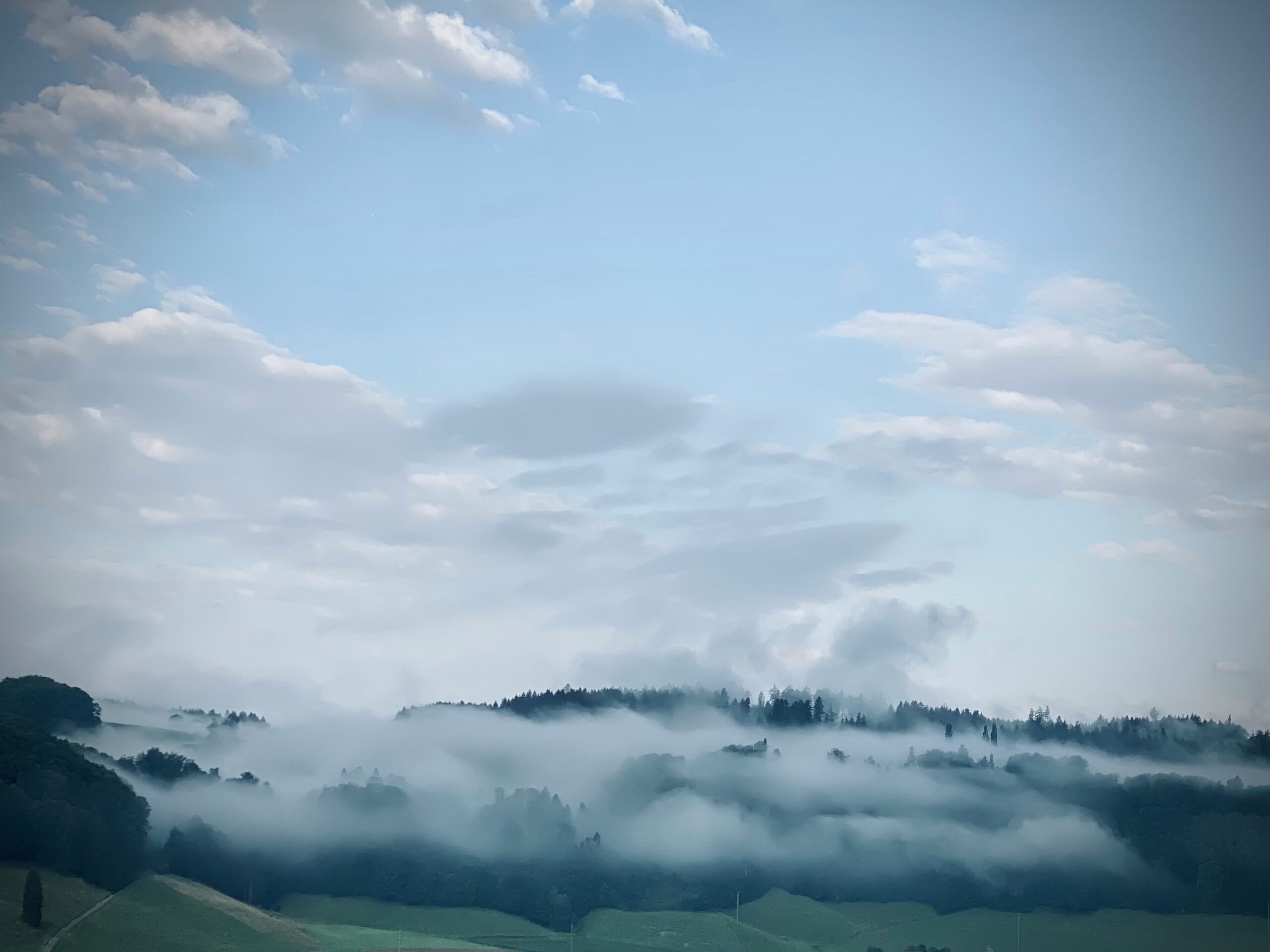 Morning fog drifting across a forested landscape beneath a clearing blue sky.