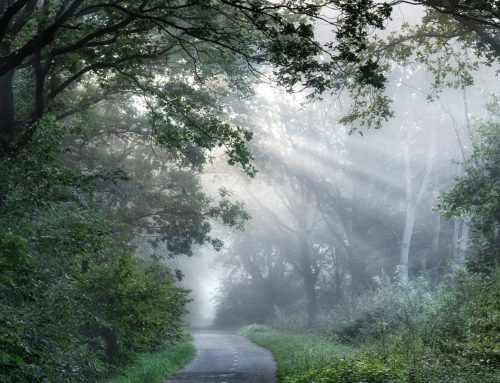 What to Talk About in Therapy: What If You Don’t Know Where to Start?