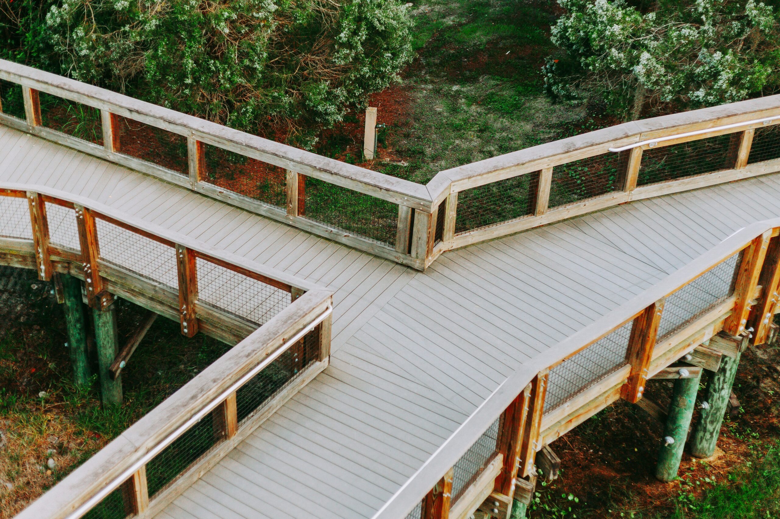 Wooden boardwalk branching into multiple paths, representing the process of choosing an EMDR therapist.