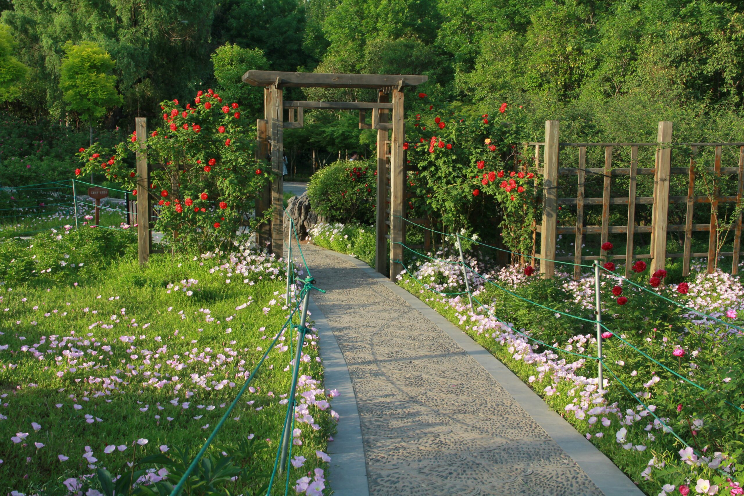 Garden pathway leading through a wooden arbor, representing the journey of setting healthy boundaries and personal growth.